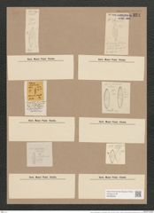 Navicula cryptocephala var. veneta Rabh. (Kuetz.) (de-Toni-Nr.: Genus 1, Species 109) Zeichnungen Sammlung Grunow Nr. 324 (NHMW-BOT-W0366599)